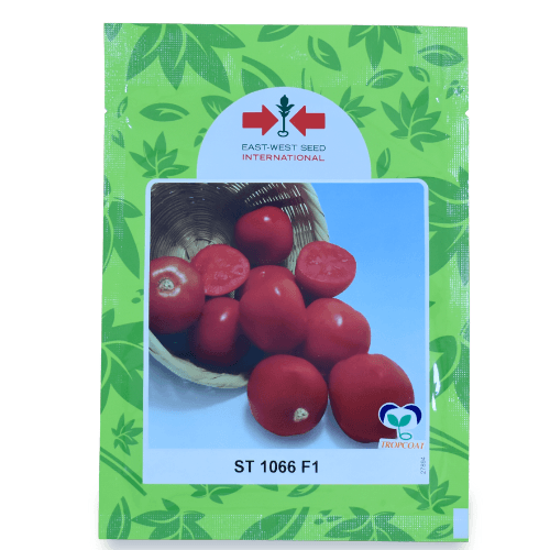SEMILLA TOMATE ST 1066 F1 / 1 MX