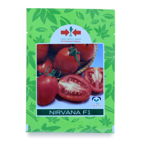 SEMILLA TOMATE NIRVANA F1 / 1 MX