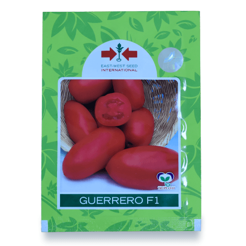 SEMILLA TOMATE GUERRERO F1 / 1 MX