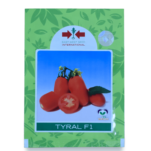 SEMILLA TOMATE TYRAL F1 / 1 MX